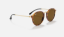 Ray-Ban RB2447 Round 1160 Kahverengi Havana Güneş Gözlüğü