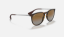 Ray-Ban RB4171 Erika 710/T5 Açik Havana Güneş Gözlüğü
