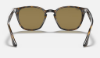 Ray-Ban RB4258  710/73 Açik Havana Güneş Gözlüğü