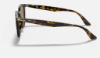 Ray-Ban RB4258  710/73 Açik Havana Güneş Gözlüğü