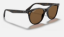 Ray-Ban RB2185 Wayfarer II 902/57 Puanli Havana Güneş Gözlüğü