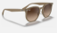 Ray-Ban RB4306  616613 Beige Güneş Gözlüğü