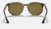 Ray-Ban RB4306  710/73 Açik Havana Güneş Gözlüğü