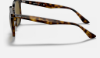 Ray-Ban RB4306  710/73 Açik Havana Güneş Gözlüğü