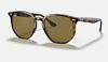 Ray-Ban RB4306  710/73 Açik Havana Güneş Gözlüğü