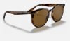 Ray-Ban RB4306  710/83 Açik Havana Güneş Gözlüğü
