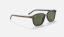 Ray-Ban RB2193 Leonard 902/31 Tortoise Güneş Gözlüğü