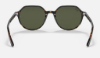 Ray-Ban RB2195 Thalia 902/31 Havana Güneş Gözlüğü