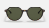 Ray-Ban RB2195 Thalia 902/31 Havana Güneş Gözlüğü