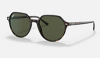 Ray-Ban RB2195 Thalia 902/31 Havana Güneş Gözlüğü