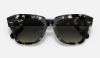 Ray-Ban RB2186 State Street 133371 Gri Havana Güneş Gözlüğü