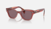 Ray-Ban RB0880S  6639AF Şeffaf Pembe Güneş Gözlüğü