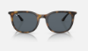 Ray-Ban RB4386  710/R5 Havana Güneş Gözlüğü