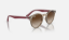 Ray-Ban Junior RJ9064S  712313 Şeffaf Kahverengi Güneş Gözlüğü