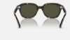 Ray-Ban RB4398 Erik 902/31 Havana Güneş Gözlüğü