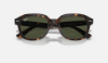 Ray-Ban RB4398 Erik 902/31 Havana Güneş Gözlüğü