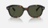 Ray-Ban RB4398 Erik 902/31 Havana Güneş Gözlüğü
