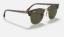 Ray-Ban RB3016 Clubmaster W0366 Altin Rengi Üzeri Kaplumbağa Kabuğu Rengi Güneş Gözlüğü