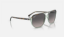 Ray-Ban RB2205 Bill One 1376M3 Şeffaf Yeşil Üzeri Havana Güneş Gözlüğü