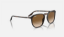 Ray-Ban RB2203  902/51 Havana Güneş Gözlüğü