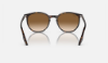 Ray-Ban RB2204  902/51 Havana Güneş Gözlüğü