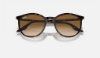 Ray-Ban RB2204  902/51 Havana Güneş Gözlüğü