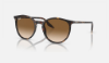 Ray-Ban RB2204  902/51 Havana Güneş Gözlüğü