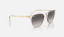 Ray-Ban RB4171 Erika 674211 Şeffaf Pembe Güneş Gözlüğü