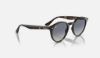 Ray-Ban RB2180  710/4L Açik Havana Güneş Gözlüğü