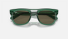 Ray-Ban RB4426 Phil 6681/3 Transparent Green Güneş Gözlüğü