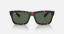 Ray-Ban Core RB4396 Warren 135971 Havana Güneş Gözlüğü Fotoğrafı