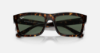 Ray-Ban Core RB4396 Warren 135971 Havana Güneş Gözlüğü Fotoğrafı
