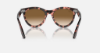 Ray-Ban Evolution RB2241 Wayfarer Way 133451 Pembe Havana Güneş Gözlüğü Fotoğrafı