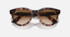 Ray-Ban Evolution RB2241 Wayfarer Way 133451 Pembe Havana Güneş Gözlüğü Fotoğrafı