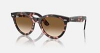 Ray-Ban Evolution RB2241 Wayfarer Way 133451 Pembe Havana Güneş Gözlüğü Fotoğrafı