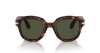 Persol Persol Lab PO0060S  24/31 Havana Güneş Gözlüğü Fotoğrafı