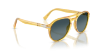 Persol Sartoria PO3235S El Profesor Sergio 204/S3 Miele Güneş Gözlüğü Fotoğrafı