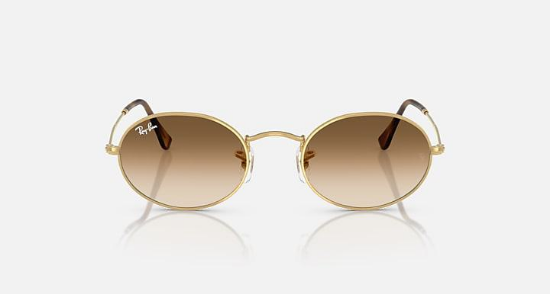 Ray-Ban Evolution RB3547 Oval 001/51 Arista Altin Güneş Gözlüğü Fotoğrafı