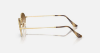 Ray-Ban Evolution RB3547 Oval 001/51 Arista Altin Güneş Gözlüğü Fotoğrafı