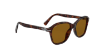 Persol Officina PO3244S  24/33 Havana Güneş Gözlüğü Fotoğrafı