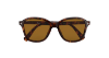 Persol Officina PO3244S  24/33 Havana Güneş Gözlüğü Fotoğrafı