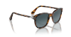 Persol Sartoria PO1935S  1052S3 Madreterra Güneş Gözlüğü Fotoğrafı